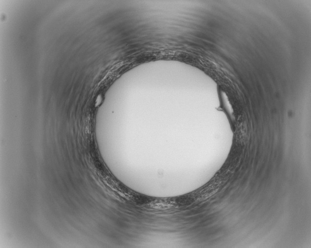 X0000086930756200705071353