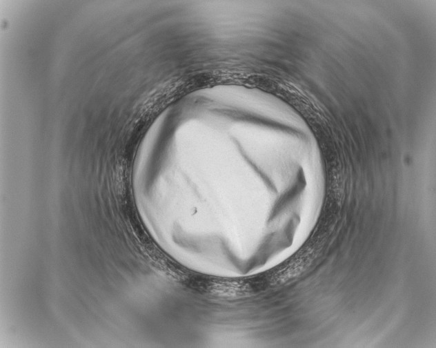 X0000086930757200705071353