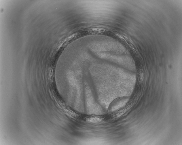 X0000086930759200705071353