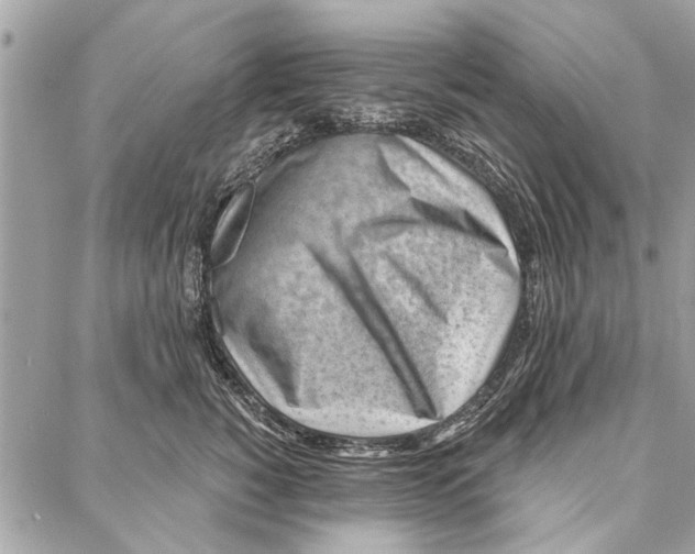 X0000086930760200705071353