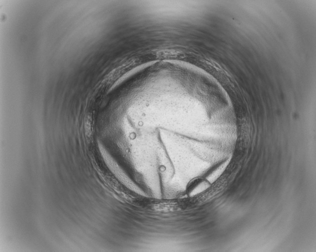 X0000086930761200705071353