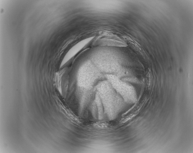 X0000086930762200705071353