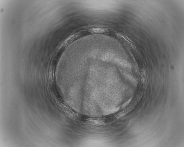 X0000086930763200705071353