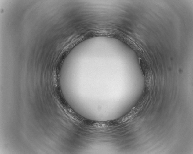 X0000086930764200705071353