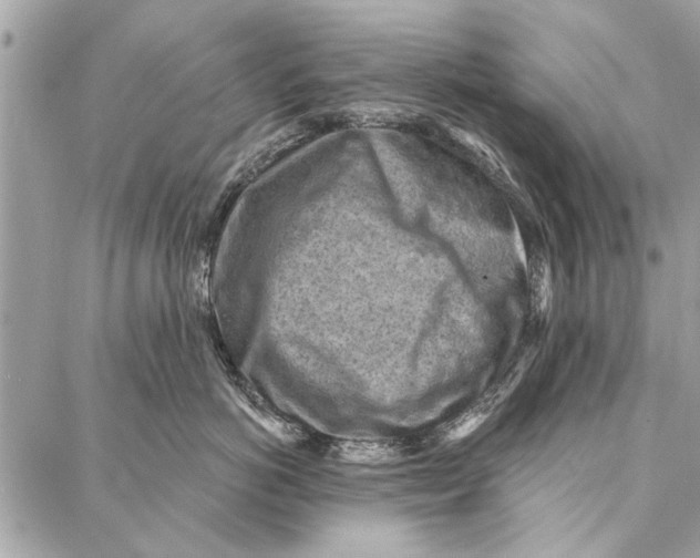 X0000086930766200705071353