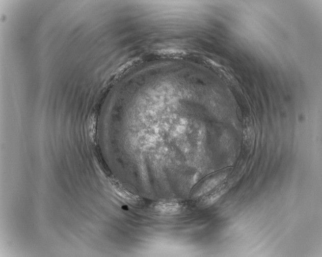 X0000086930767200705071353