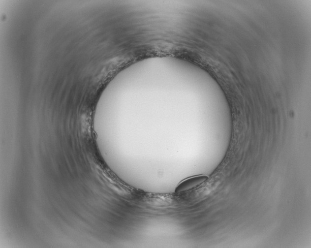 X0000086930768200705071353