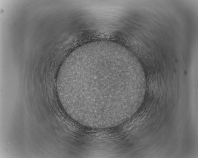 X0000086930769200705071352