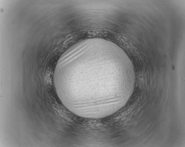 X0000086930770200705071352