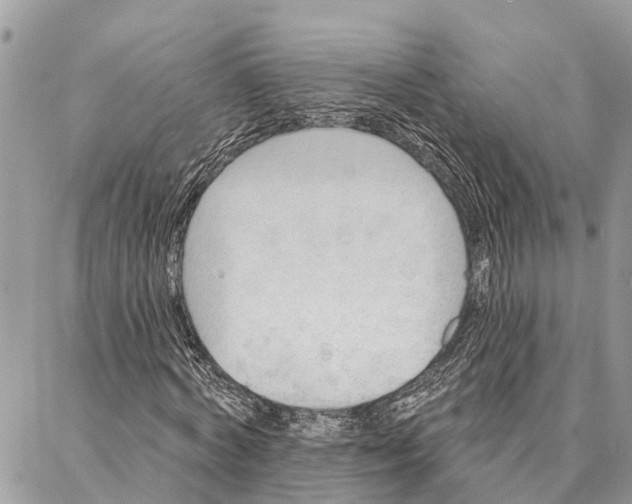 X0000086930772200705071352