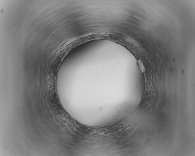 X0000086930773200705071352