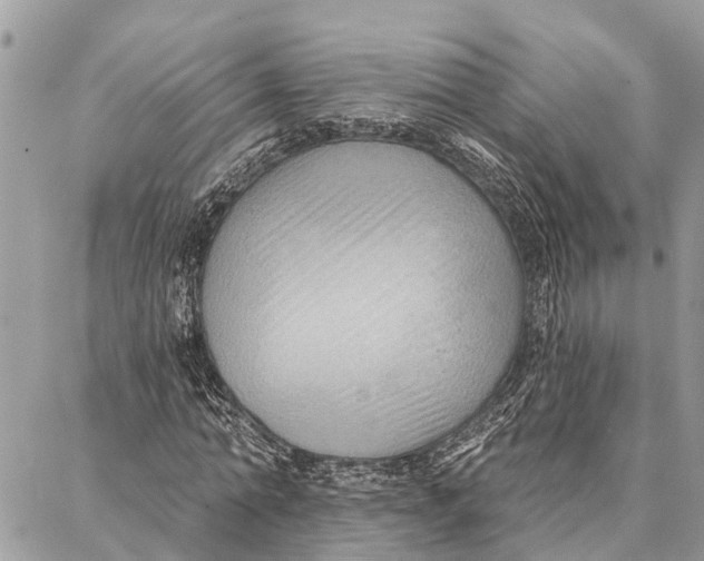 X0000086930774200705071352