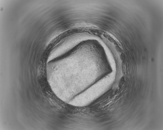 X0000086930775200705071352