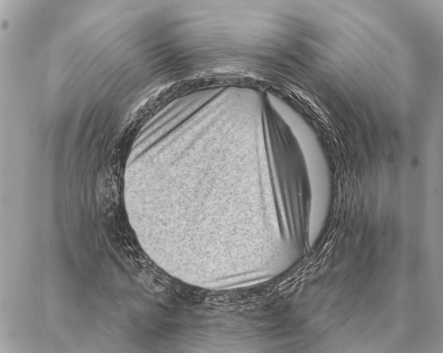 X0000086930776200705071352