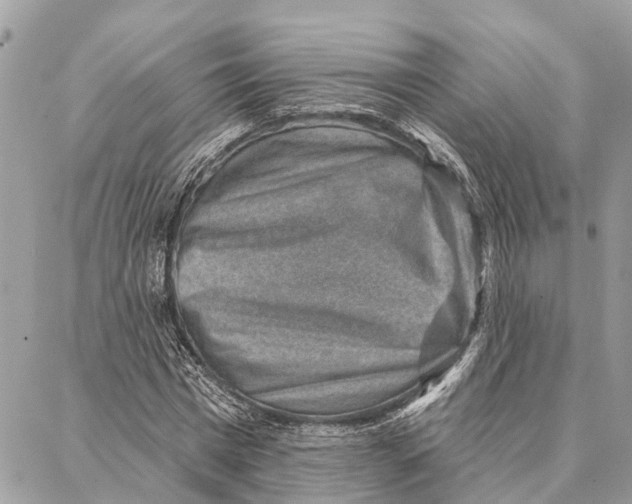 X0000086930777200705071352