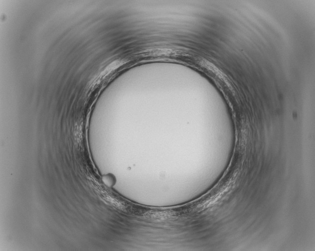 X0000086930778200705071352