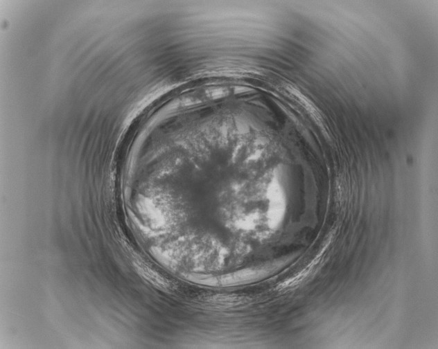 X0000086930779200705071352