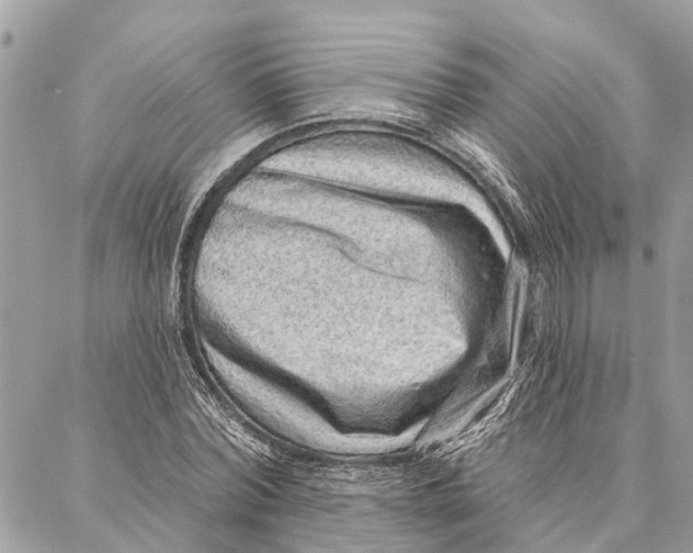 X0000086930780200705071352