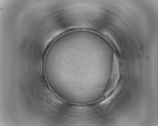 X0000086930781200705071352