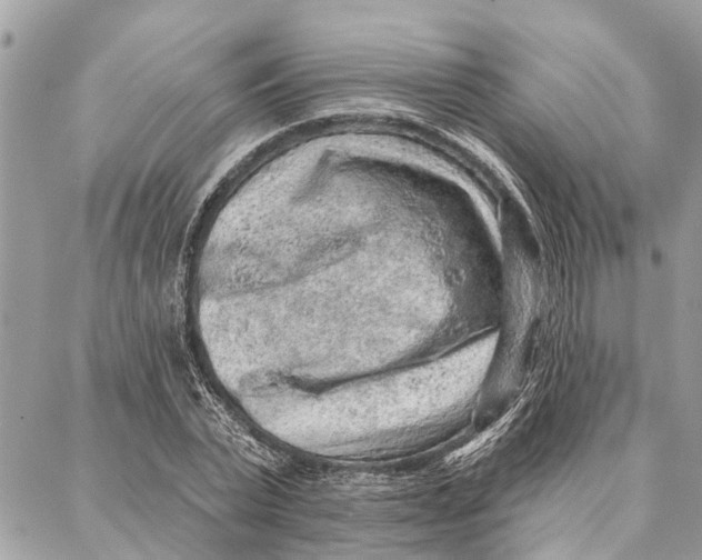 X0000086930783200705071352