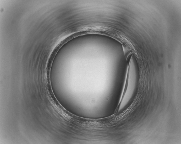 X0000086930784200705071352