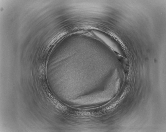 X0000086930785200705071352