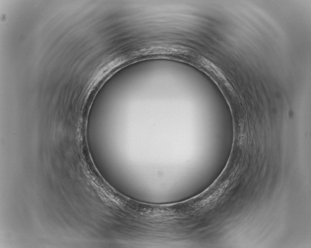 X0000086930786200705071352