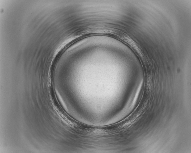 X0000086930787200705071352