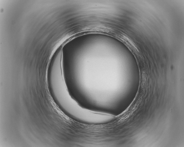 X0000086930788200705071352