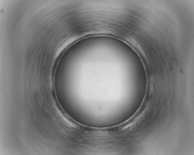 X0000086930789200705071352