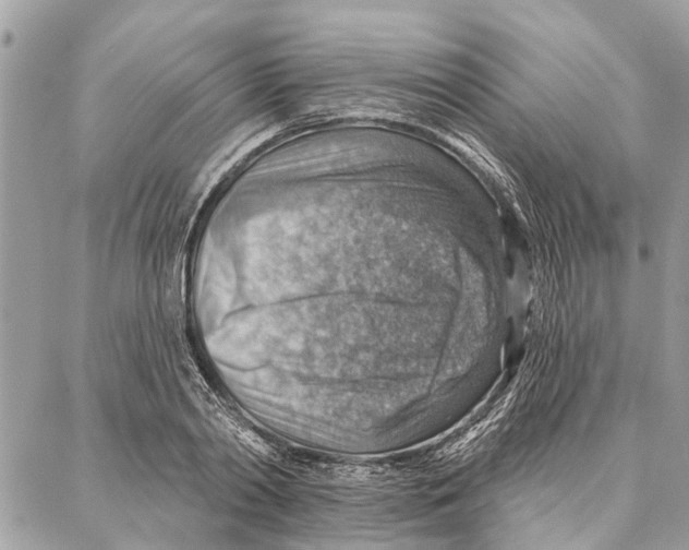 X0000086930790200705071352