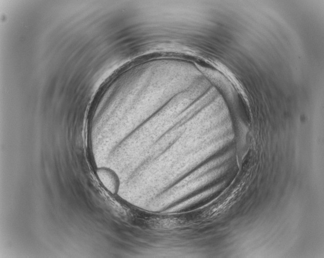 X0000086930791200705071352