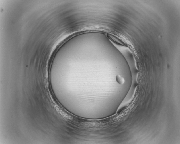 X0000086930792200705071352