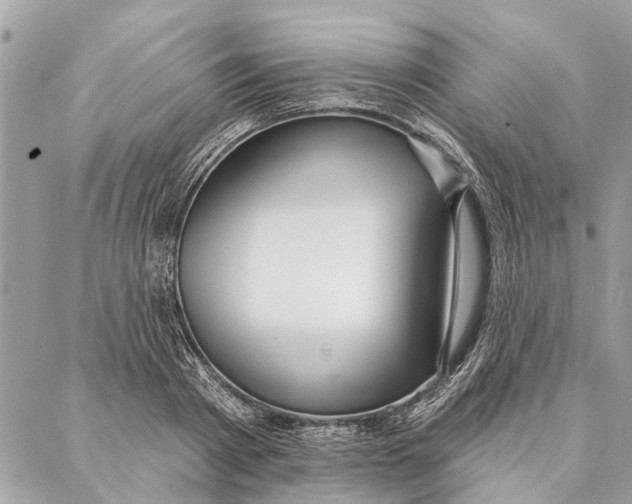 X0000086930793200705071352