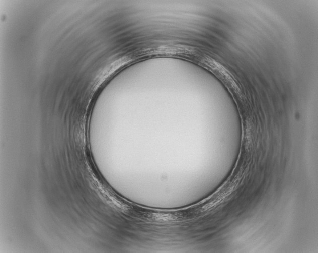 X0000086930794200705071352