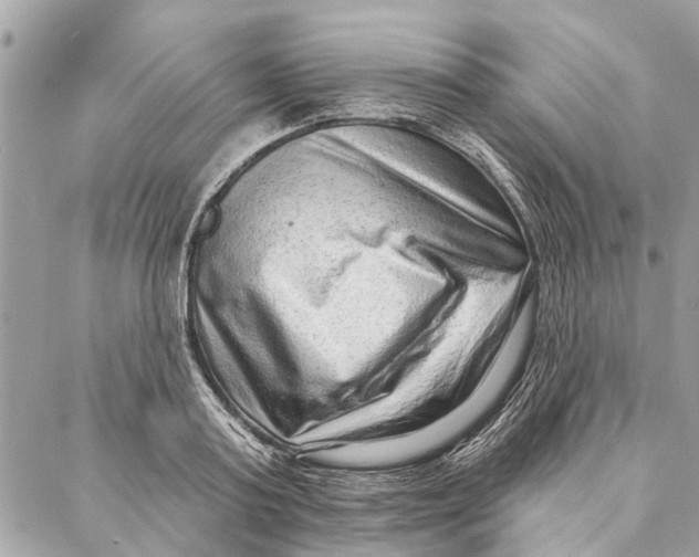 X0000086930795200705071352