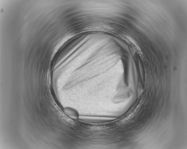 X0000086930796200705071352