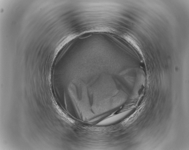 X0000086930797200705071352