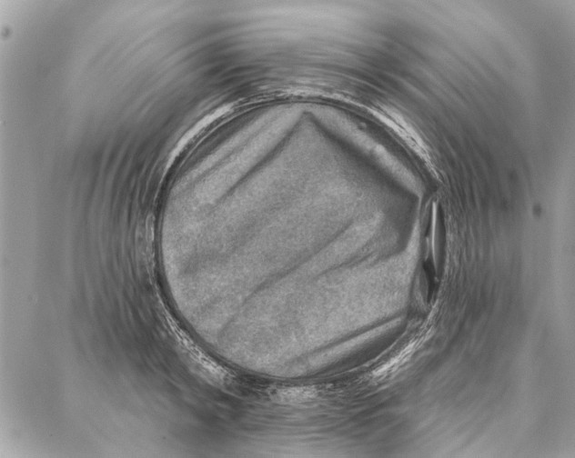 X0000086930798200705071352