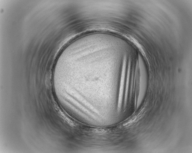 X0000086930799200705071352