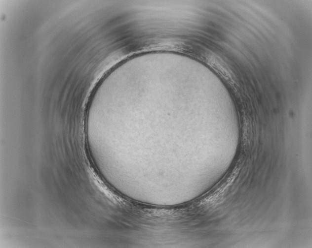 X0000086930800200705071352