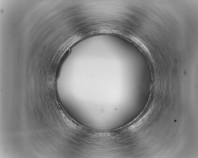 X0000086930801200705071352