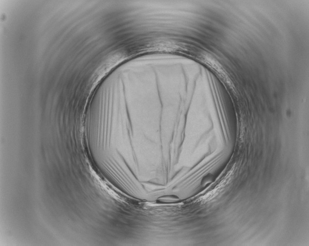 X0000086930802200705071352