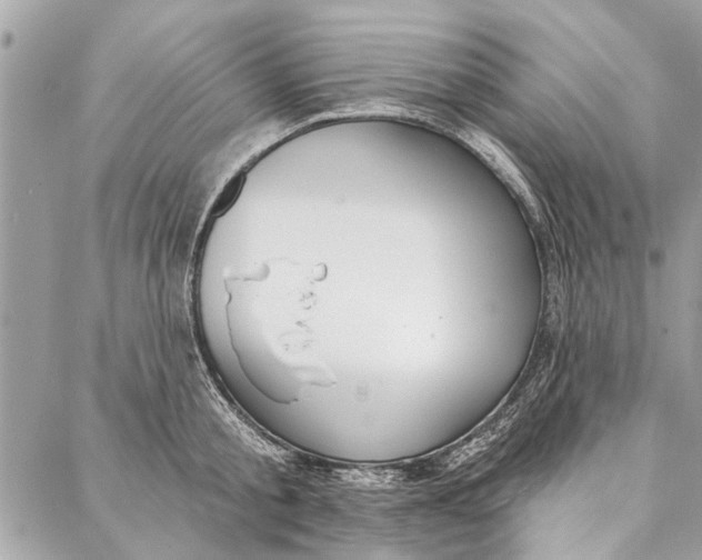 X0000086930805200705071351