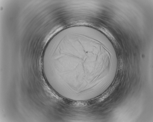 X0000086930806200705071351