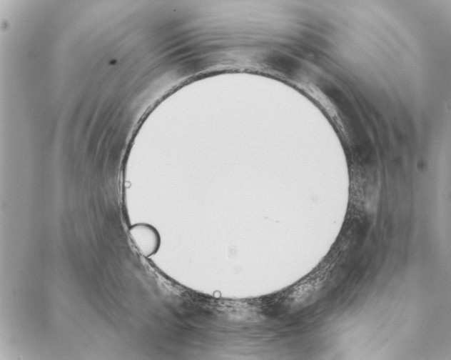 X0000086930807200705071351