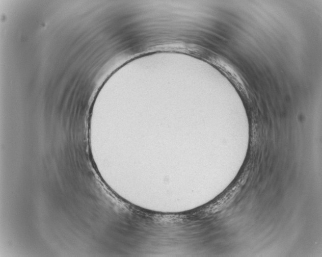 X0000086930808200705071351