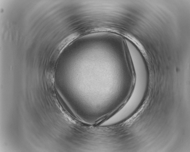 X0000086930809200705071351