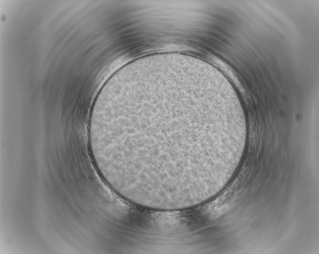 X0000086930810200705071351