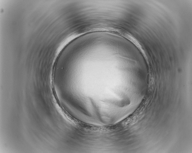 X0000086930811200705071351